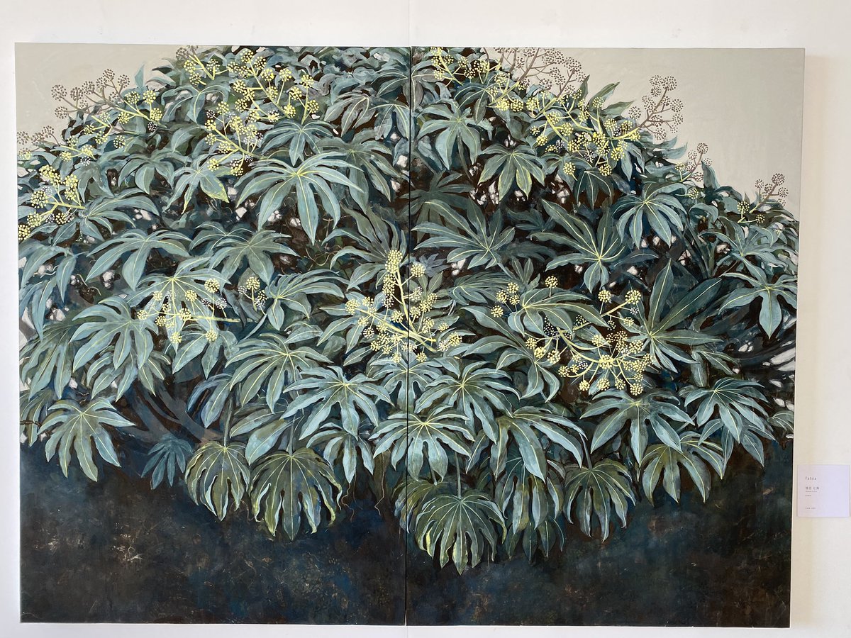 日本画3回 落合七海「Fatsia」 ただヤツデを描いてるだけなのに、なぜ 