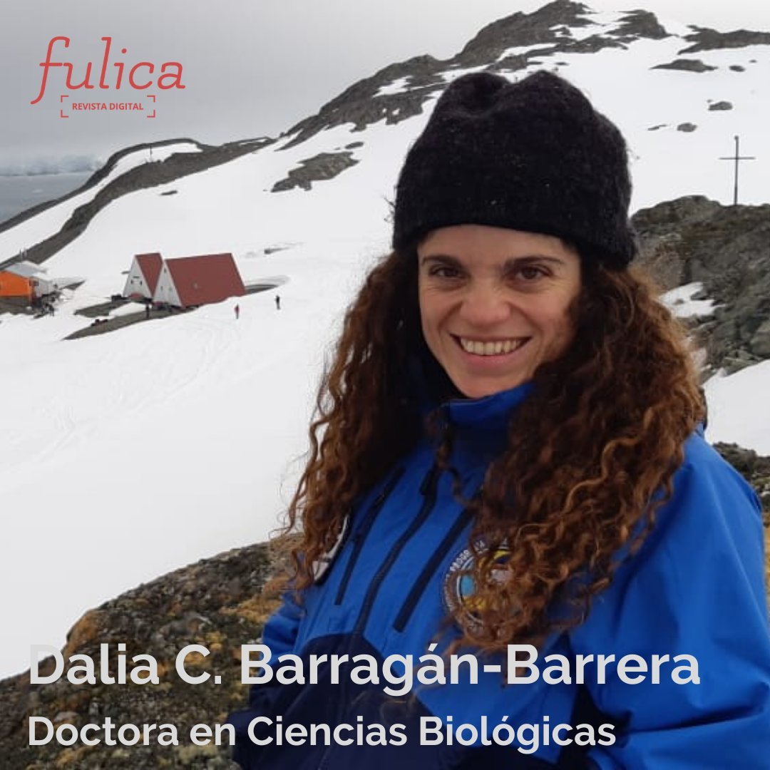 STEMsnFronteras's tweet photo. Ella es Dalia C. Barragán Barrera, bogotana con sangre santandereana, #madre de Martina y tía de María José y Ana Sofía. Es #BiólogaMarina de la Universidad de Bogotá Jorge Tadeo Lozano (#UJTL) y #doctora en Ciencias Biológicas de
@Uniandes https://t.co/xAJo0SfSBm