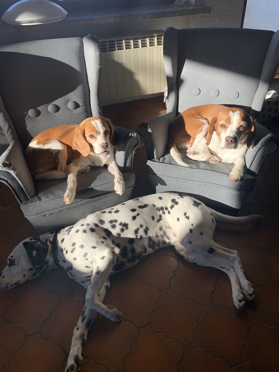 I think I am being watched 👀👀