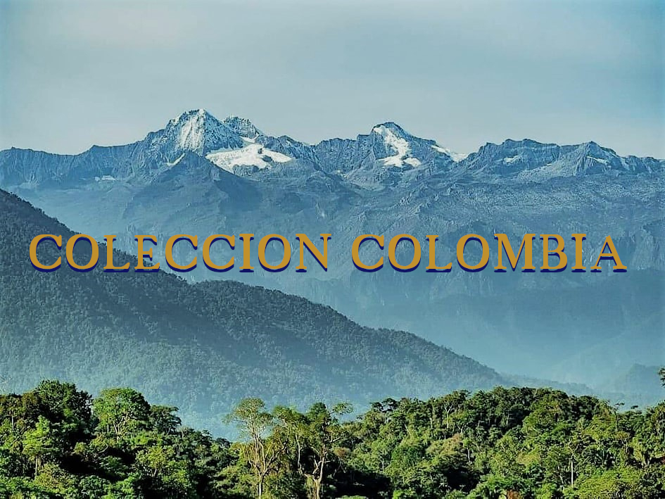 Selecciones vía @thepernett: <a href="/FrailejonMusiCO/">Frailejón Music</a>, Savan, La Payara, <a href="/jaguar_cosmico/">jaguar cosmico</a>, <a href="/wearemawimbi/">Mawimbi Crew</a>, <a href="/Colectro/">Colectro</a>, <a href="/alibombomusica/">ALIBOMBO percusion</a>, Las Nadas, Julián Mayorga, La Batucada Guaricha, Velandia y la Tigra, Las Alegres Ambulancias, @LosAlfaOcho y <a href="/redilcuarteto/">Redil</a>.

gladyspalmera.com/pernett-colecc…