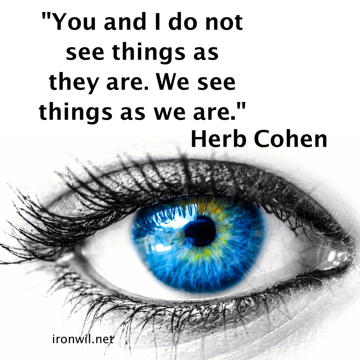 ir0nw1l's tweet photo. most don't understand the power of perception, how are you using your 'vision' to change your world? #HerbCohen #ir0nw1l #Motivation #Autodidact #Ambition #aSignificantLife #SuperApp #HaveFun #MakeMoney #MakeADifference #3KeystoWealth #TLYAW https://t.co/5iNtrGBOmB