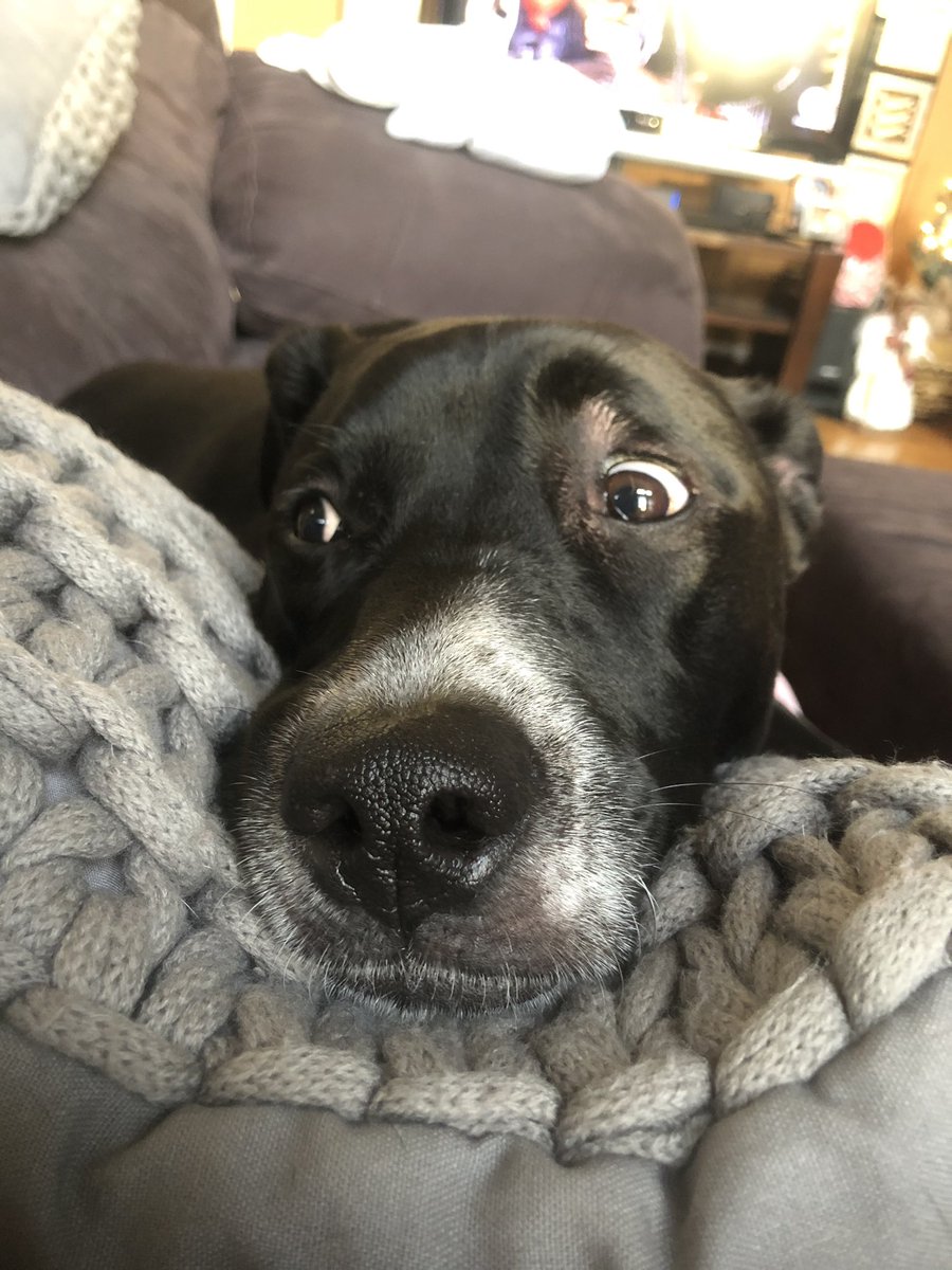 Look at this face LOOK