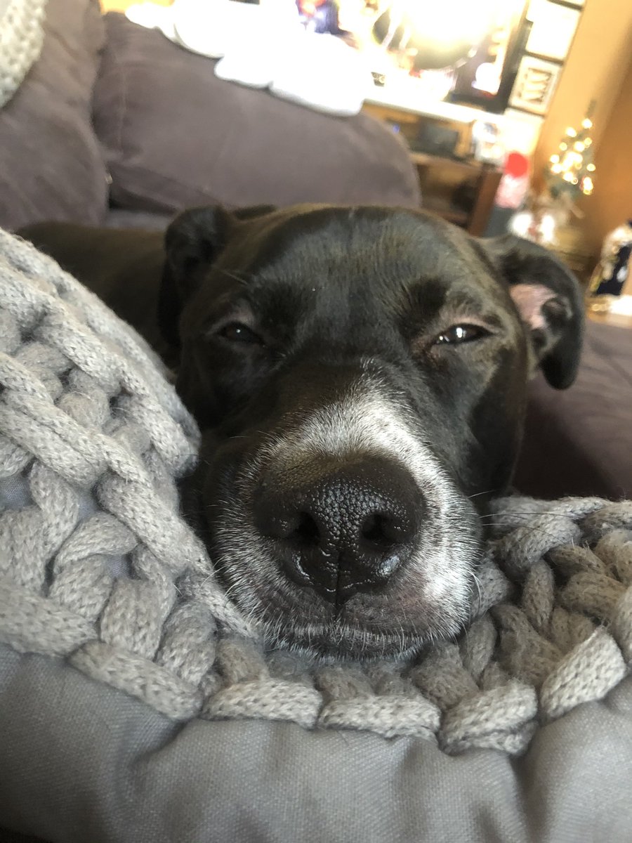 Look at this face LOOK