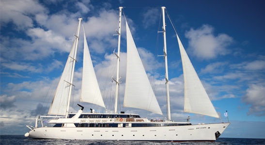 Eagle-Eye Tours tweet media