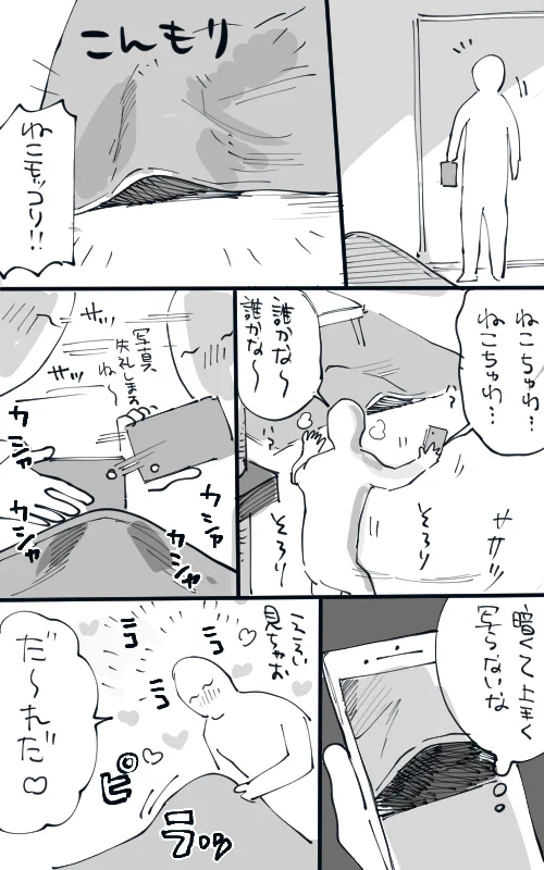 「ねこもっこり」を見つけてテンション上がっている様子を？猫たちに冷めた目で見られてしまうwww