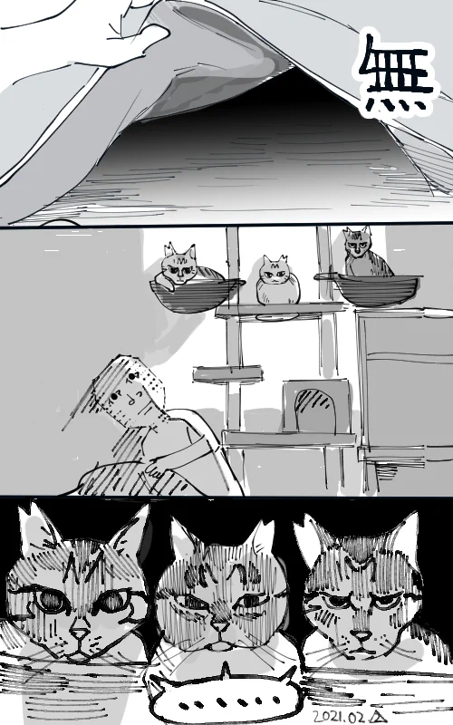 「ねこもっこり」を見つけてテンション上がっている様子を？猫たちに冷めた目で見られてしまうwww