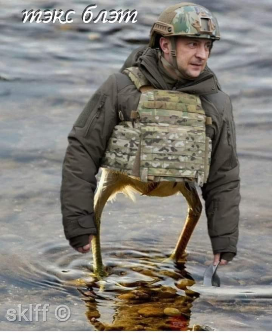 Зеленский предложит ОАЭ "совместно расширить возможности в области космоса" - Цензор.НЕТ 5768