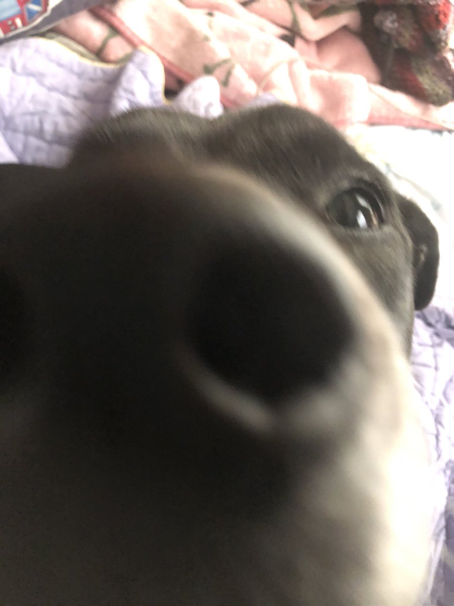 My friend once said he had gross little man lips and i cant stop thinking about it