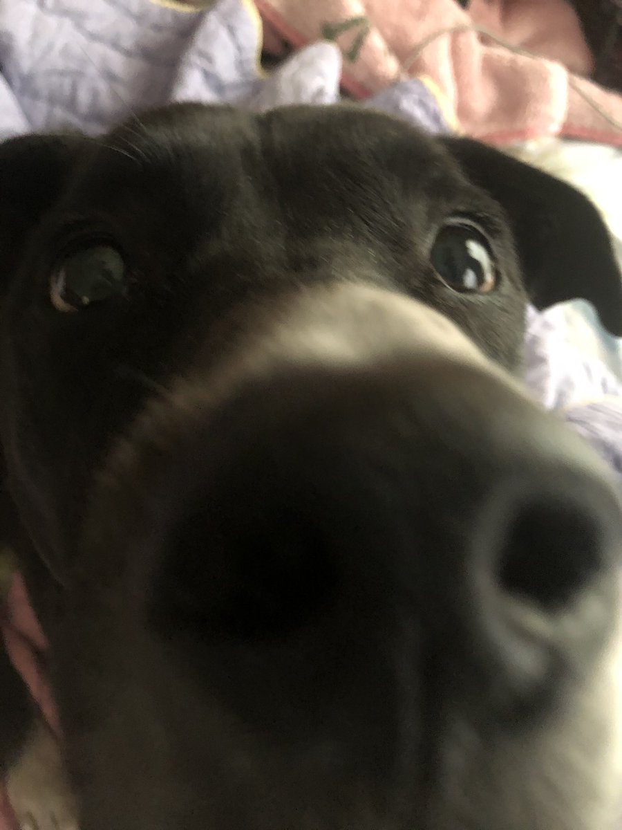 My friend once said he had gross little man lips and i cant stop thinking about it