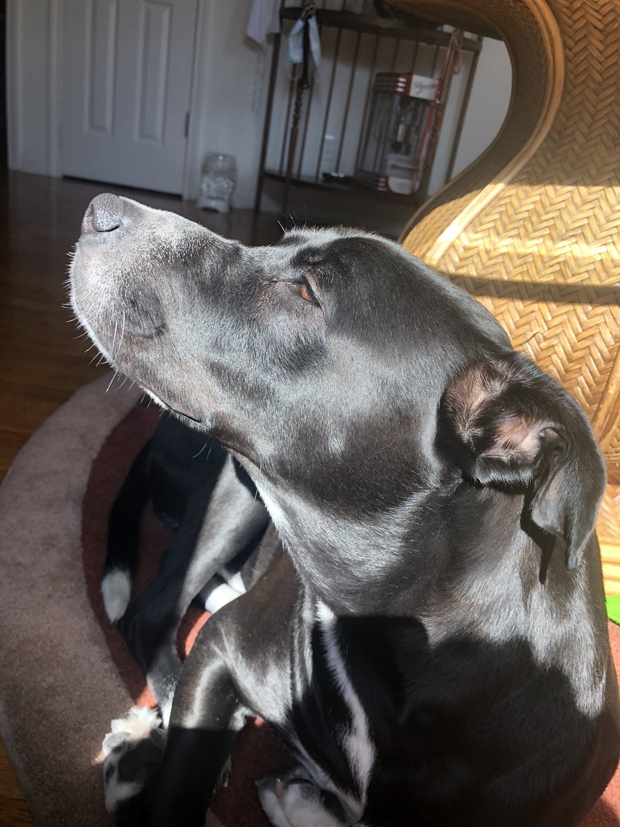 My friend once said he had gross little man lips and i cant stop thinking about it