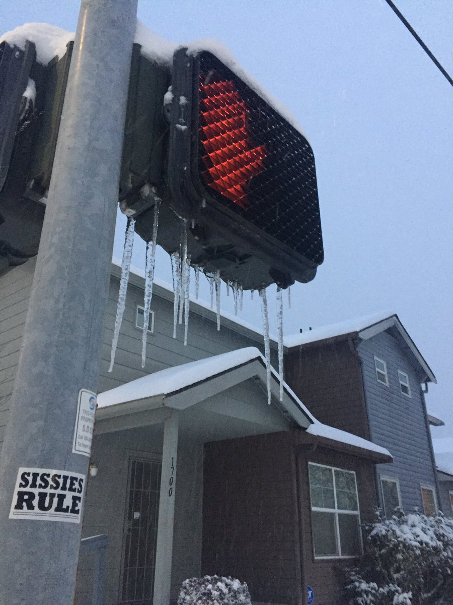 MikeySixStrings's tweet photo. The hood looks good in the snow this morning. Got more than I expected so far and itβs still coming down. #colmantriangle #samsmithpark #seattlesnow #zip98144 @KSeattleWeather @NWSSeattle https://t.co/xy0Npcgrn9
