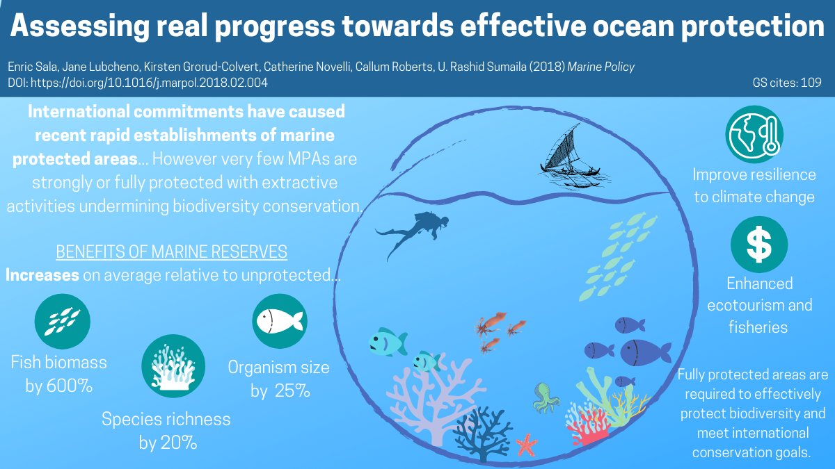 Camille Burton tweet media