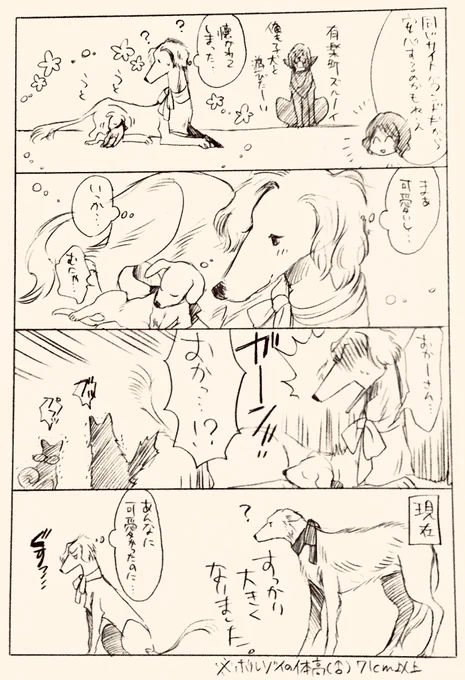 メトロ犬② 