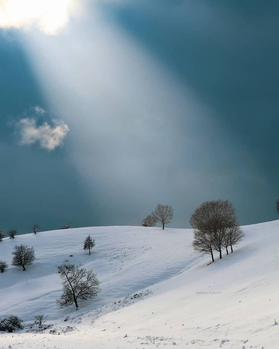 ElvinaAslan's tweet photo. #Ismailli, #Azerbaijan ❄️✨🇦🇿 https://t.co/pwpLEuGSWM