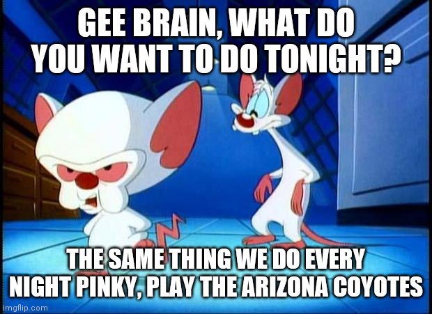 St. Louis Blues (@stlouisblues) on Twitter photo 
