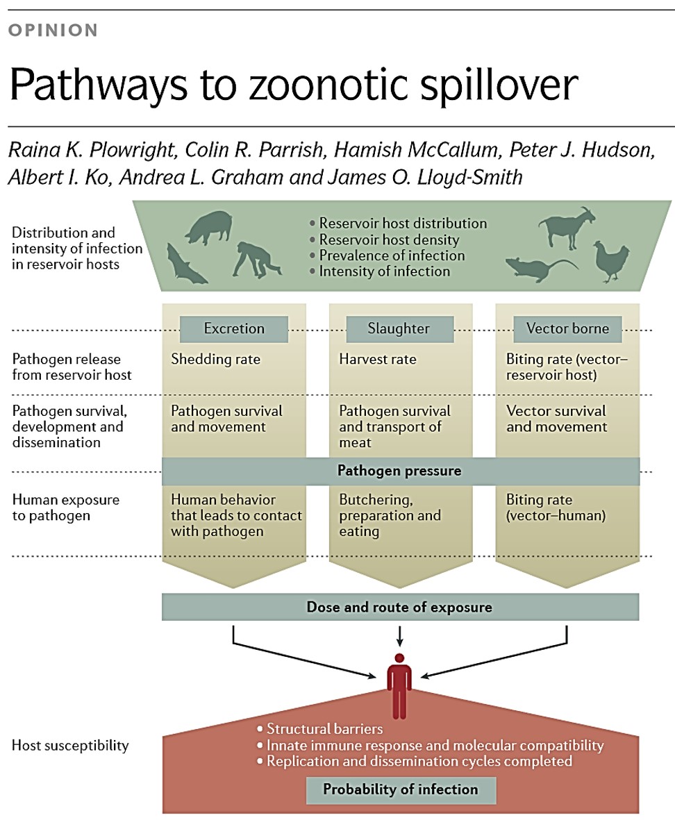 SEMicrobiologia's tweet image. #Zoonosis #Spillover
⬇️
pubmed.ncbi.nlm.nih.gov/28555073/