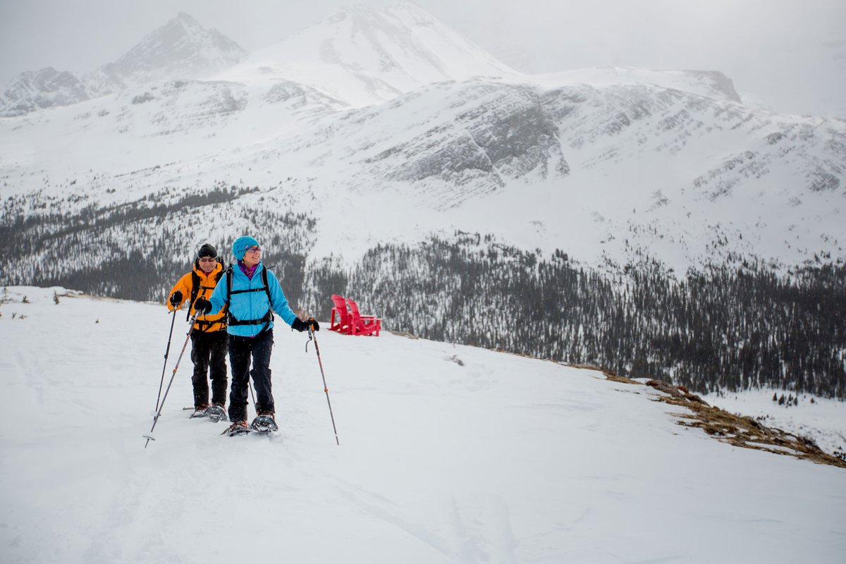 There is an Avalanche Awareness Class with American Sign Language interpretation this Monday. Hosted by the Northwest Avalanche Centre, it's full of great information for anyone heading into the mountains. 
Sign up here: 
nwac.us/avalanche-awar…