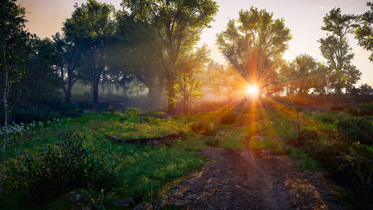 SindyJ_B's tweet photo. AC: Valhalla
#AssassinsCreedValhalla #ACValhalla #ACPhotoMode
#virtualphotography #PCGaming
#AssassinsCreed #TCCrayoflight https://t.co/HNHjhUEBwW