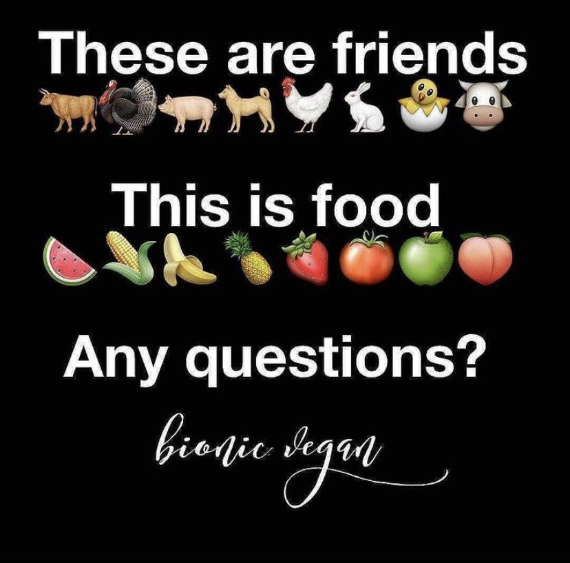 It that simple! Friends are not food!!Note the difference!!? Animals are meant to live not meant to be a meal!

##sherryanddiyafoundation !#saynotomeat#spreadingawareness#loveanimals#animalsmakemehappy#compassionoverkilling✌🌱😊❤