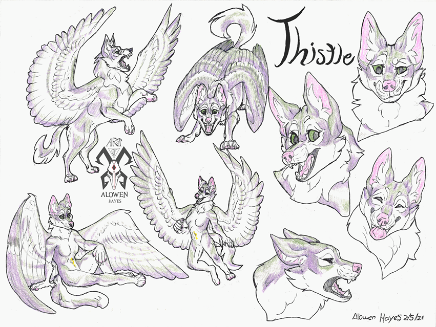 CovenCorvid's tweet photo. More art of my girl Thistle 💖 done by the talented Alowen Hayes
#furryart #cutefurry #wolffurry #wolfanthro #wingedwolf https://t.co/14HMkhNyGZ