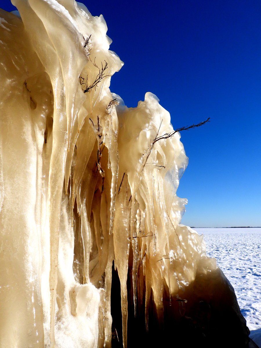 XtraVisie tweet media