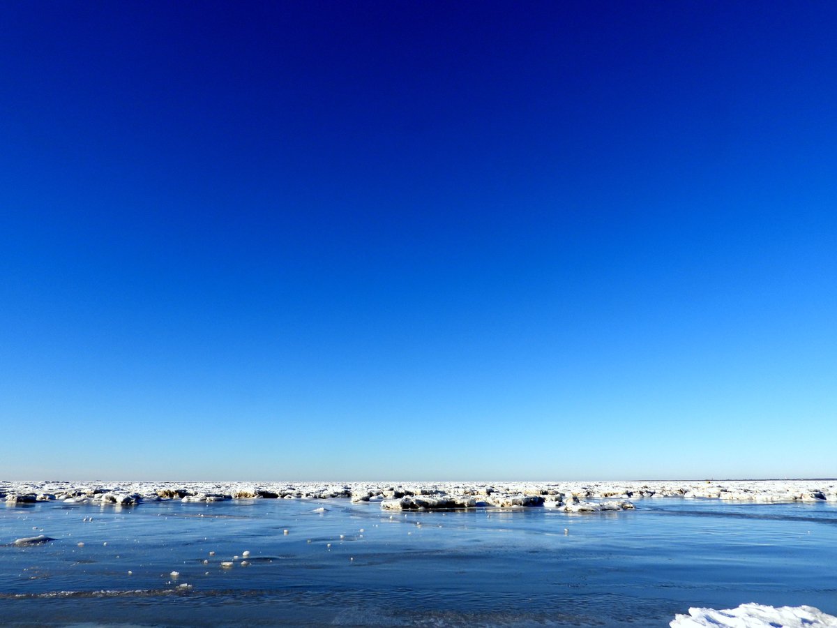 XtraVisie tweet media