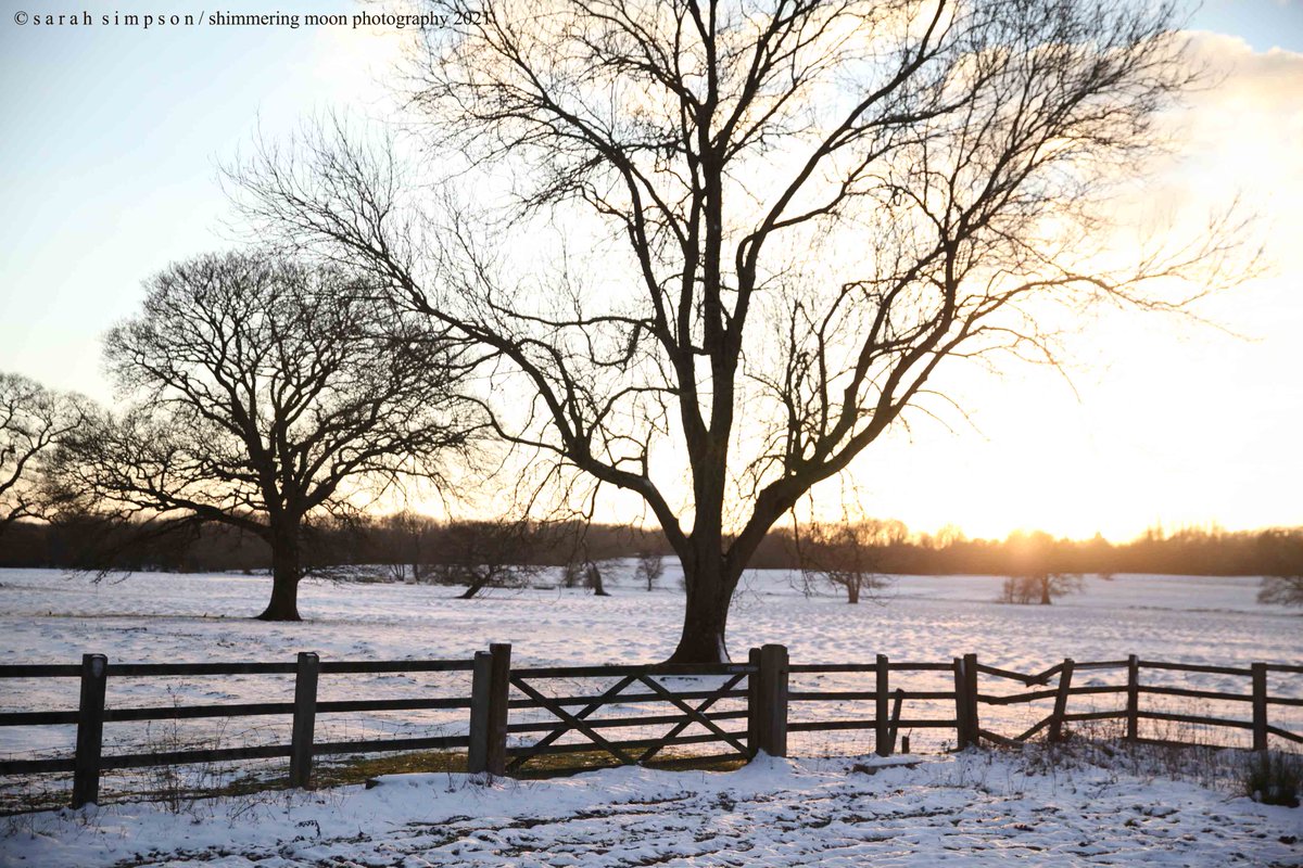 shimmeringmoon_'s tweet photo. Snowy fields, Otford. #winter #wintertime #snowdays #wintersunset #kentcountryside #winterfields https://t.co/95FHACGkkm