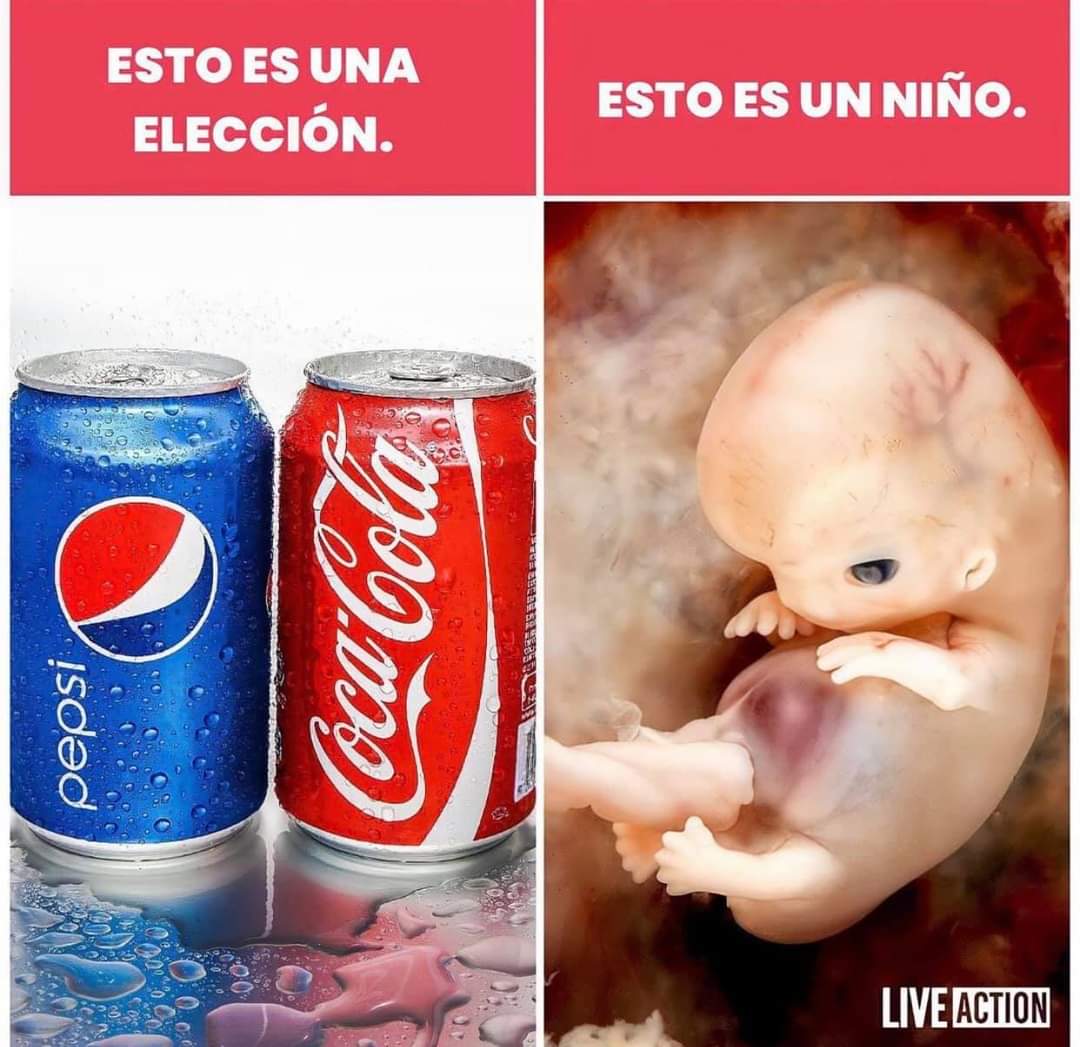 MochisSomos's tweet photo. El derecho a la vida es fundamental, inalienable, irrenunciable. No se consulta, se respeta, se defiende, se protege. #PorAmorALaVida #ClaxonazoPorLaVida 

@lopezobrador_
@senadomexicano
@Mx_Diputados
@congresosinaloa https://t.co/TH21Kl7AsN