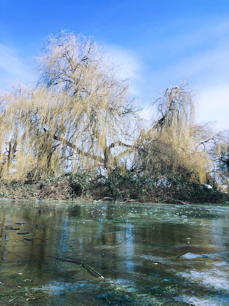 BConsciousCoach's tweet photo. One of the gifts of #lockdown has been making the most of my daily walk. I feel so much more connected to #nature and appreciative of the little-big things 🌱💙

#mentalhealth #lockdown2021 #lockdown #NaturePhotography https://t.co/Osrl0tLFda