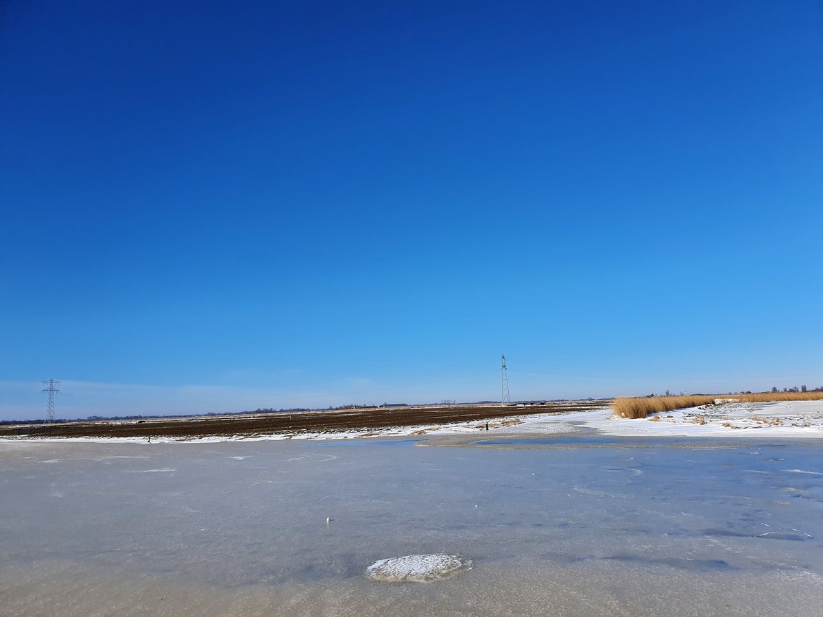ceesp3's tweet image. Heerlijk geschaatst vandaag