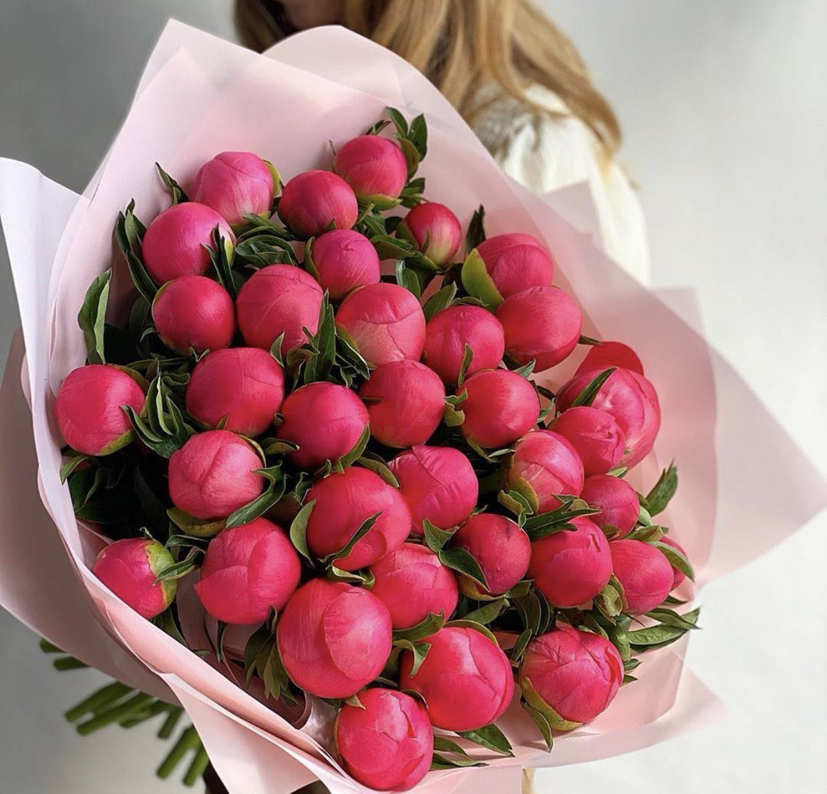 Fnn_N1's tweet photo. زهرة الفاوانيا ♥️. https://t.co/3RBHKp5TAZ