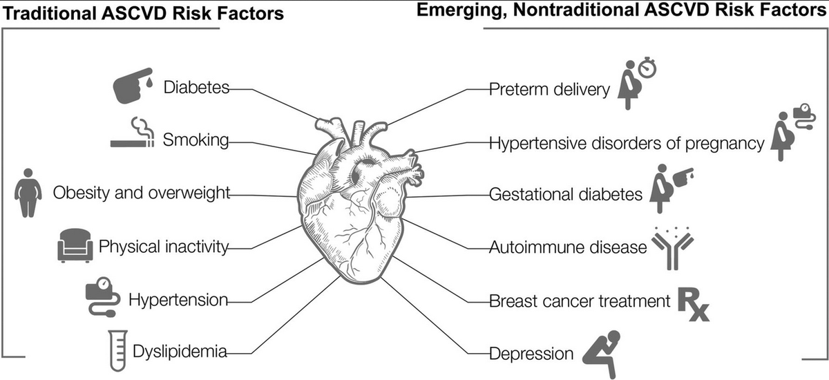A good obstetrics history is critical to accurately assessing CV risk! Make sure to ask about PCOS, OCP use, hormone replacement therapy, and oncologic history including history of breast cancer +/- treatment  https://www.ahajournals.org/cms/asset/7d5fc228-477a-4196-91c8-d3e00c0a893e/1273fig01.jpeg