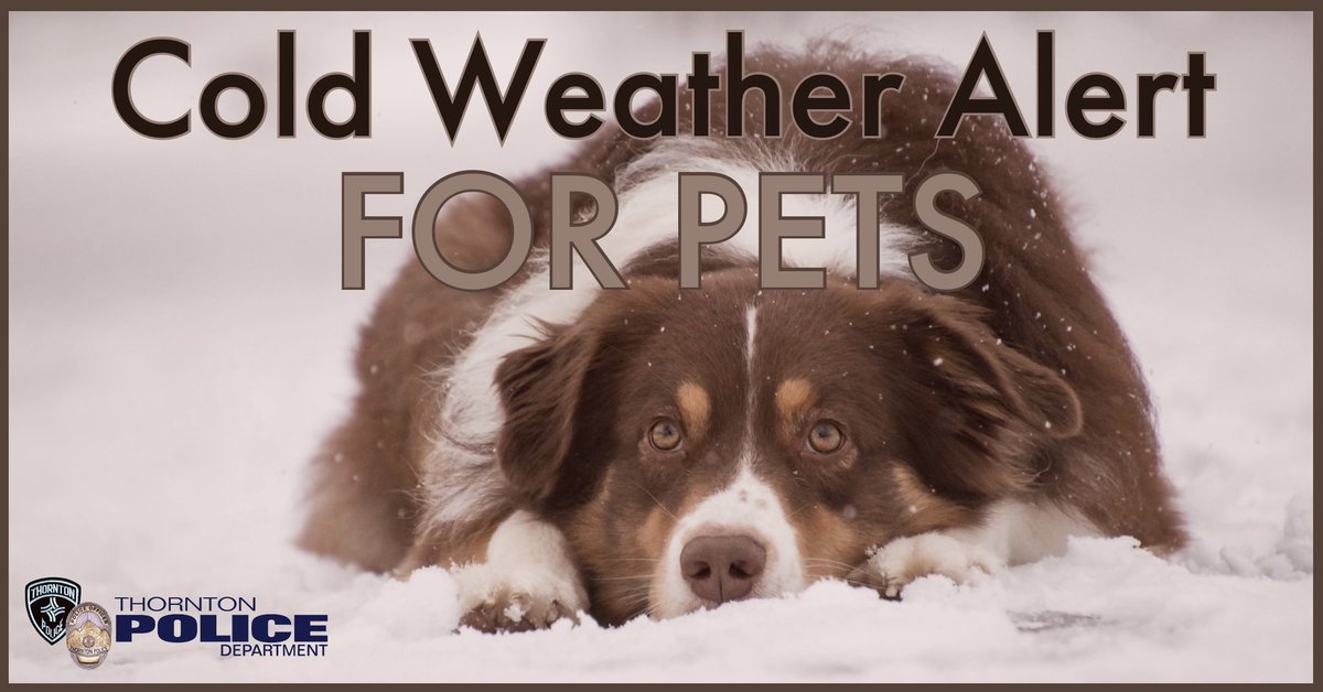 Thornton Police Dept tweet media