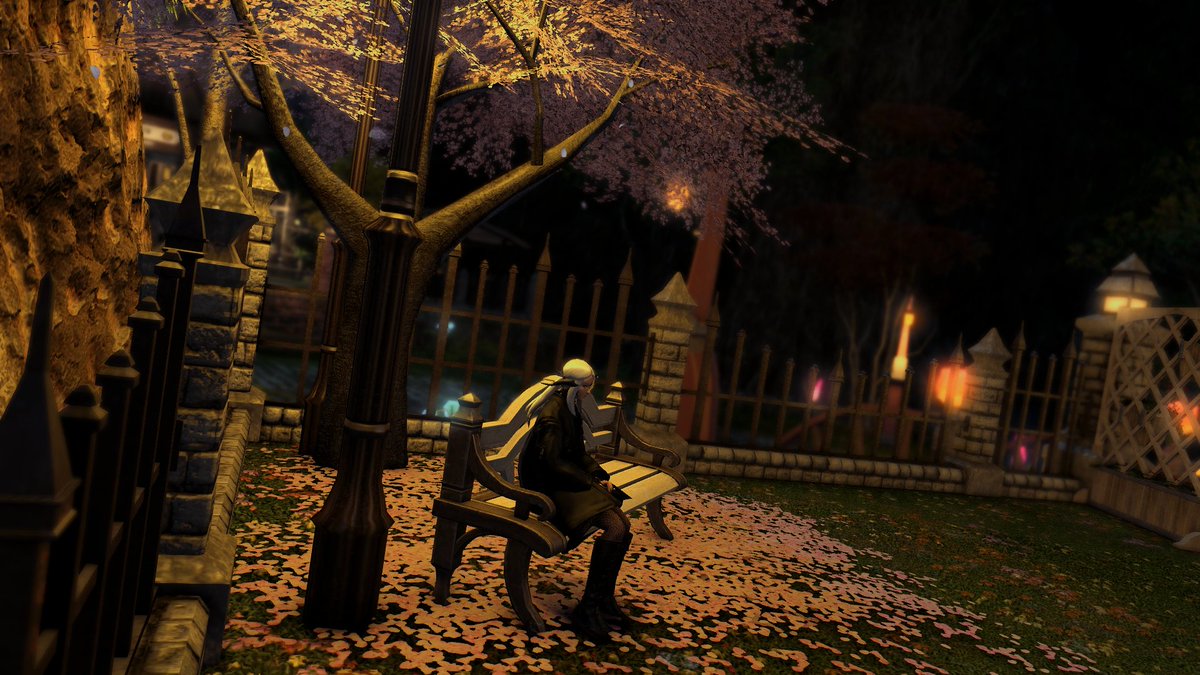 Reishar2 tweet picture