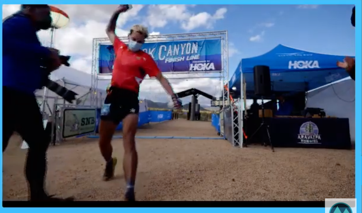 Treeline Journal tweet media