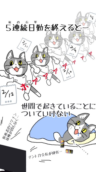 まりもさん がハッシュタグ 現場猫 をつけたツイート一覧 1 Whotwi グラフィカルtwitter分析