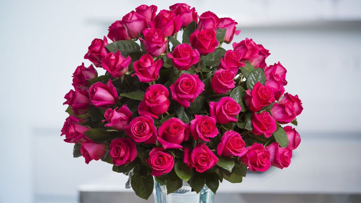 gnf as flowers- a thread