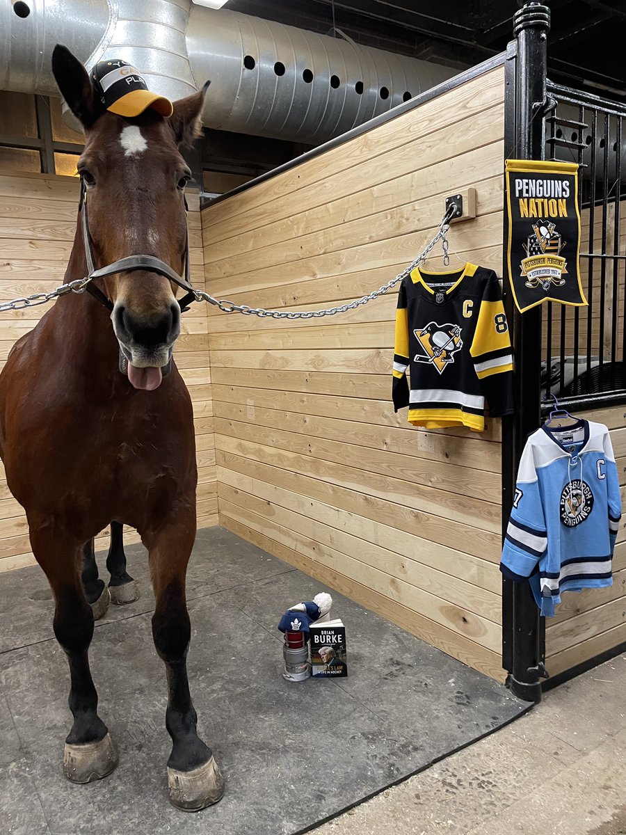 Moose and your friends at Toronto Police Mounted Unit wish you all the best @Burkie2020 
Pittsburgh is lucky to have you!
@YouCanPlayTeam @mollysburke @penguins @Sportsnet @MapleLeafs #tpsmountedunit