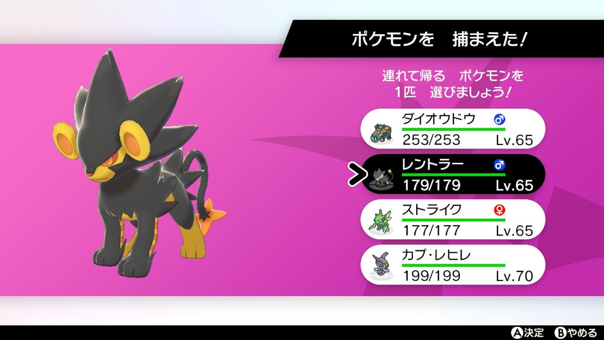 霧雨 色違いレントラーゲット ポケモン剣盾 Nintendoswitch 色違いポケモン 霧雨 色違いレントラーゲット ポケモン剣盾 Nintendoswitch 色違いポケモン