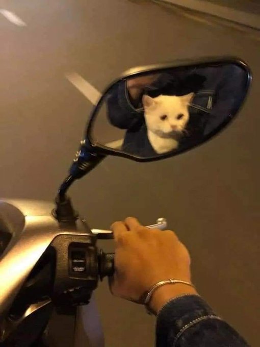 Archillct (@archillct) on Twitter photo 