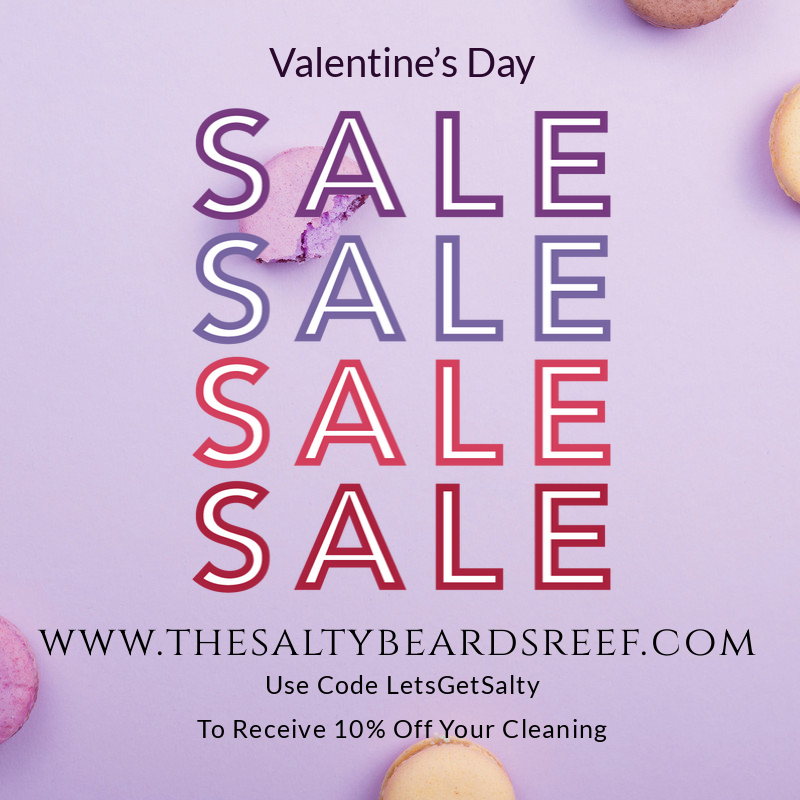 SaltyBeardsReef's tweet photo. Visit https://t.co/M7ymdrW6QM To Save That Salt. Valentine's Day Sale Happening Now!! Receive 10% Off All Cleanings! Message Mr. Salty To Get A SWEET Deal On Discounted Cleaning Packages! He Might Be Feeling The LOVE This Weekend.

Use Code LetsGetSalty At Checkout

#LetsGetSalty https://t.co/W3dyPG5fuK