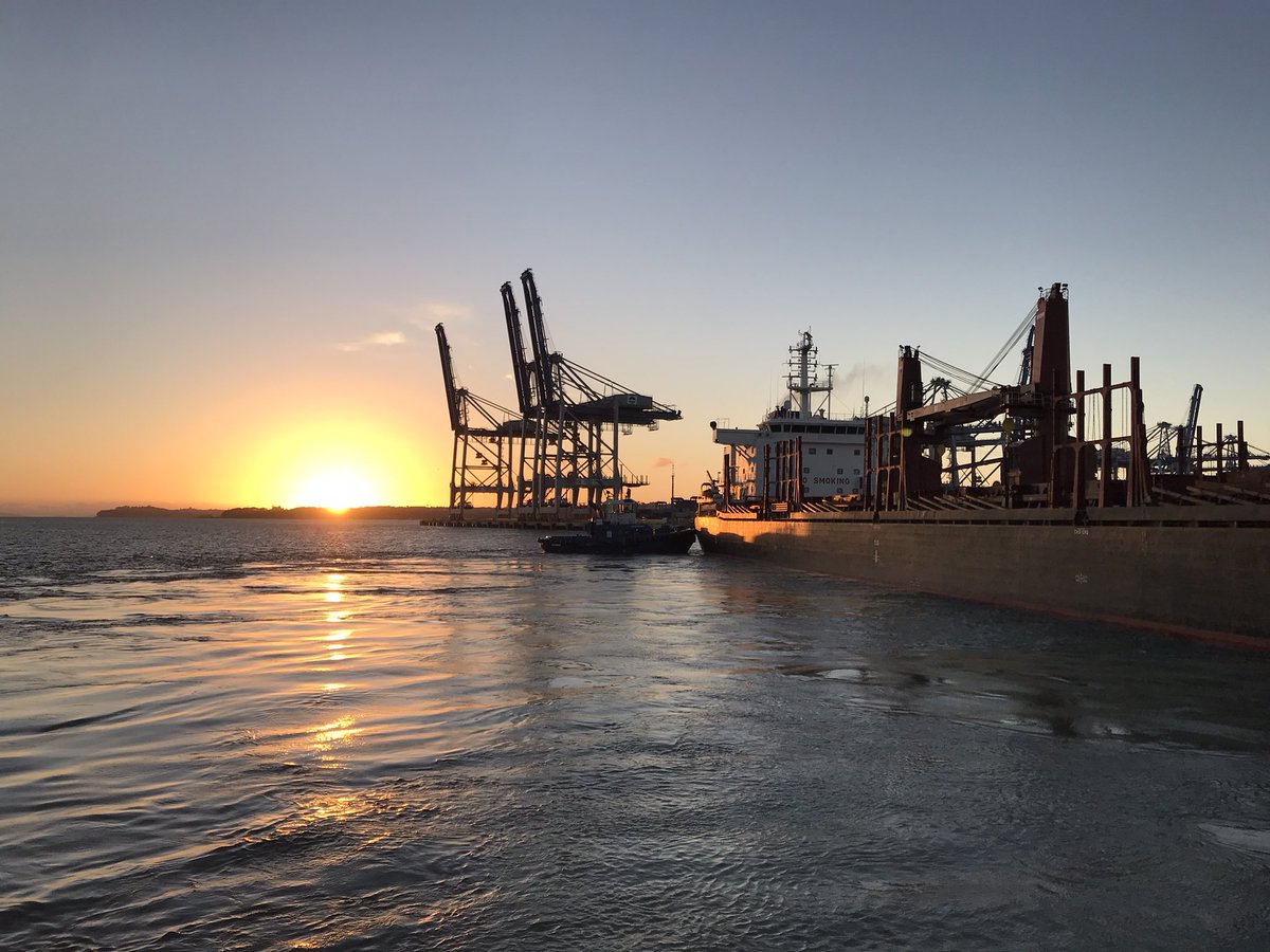 #tuglife #ports #SundayFunday #sunrise <a href="/AKLPort/">Port of Auckland</a>