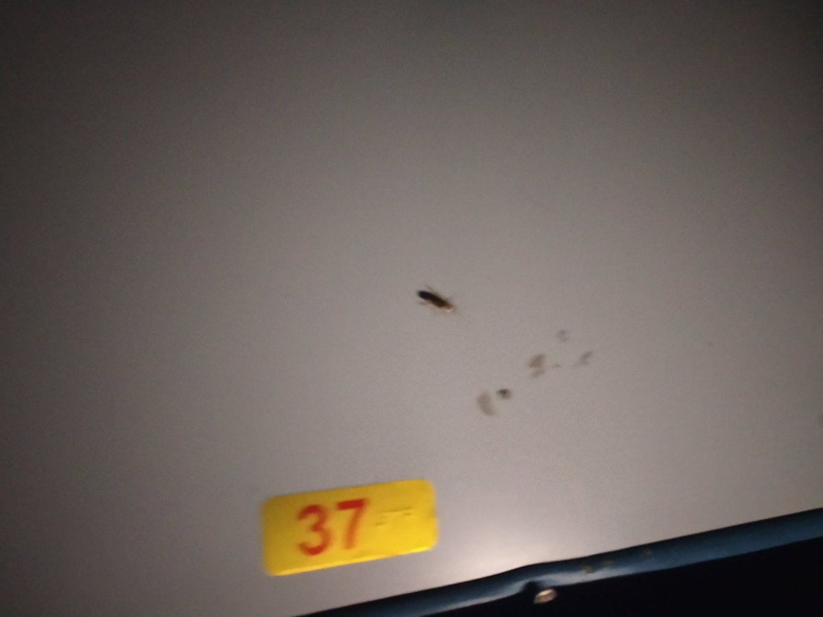 DeepakKhatija's tweet photo. @RailwaySeva There are lot of cockroaches roaming in compartment.. We can't expect such thing in a premium train like rajdhani @RailwaySeva  @IRCTCofficial https://t.co/2A5uBB0Q86