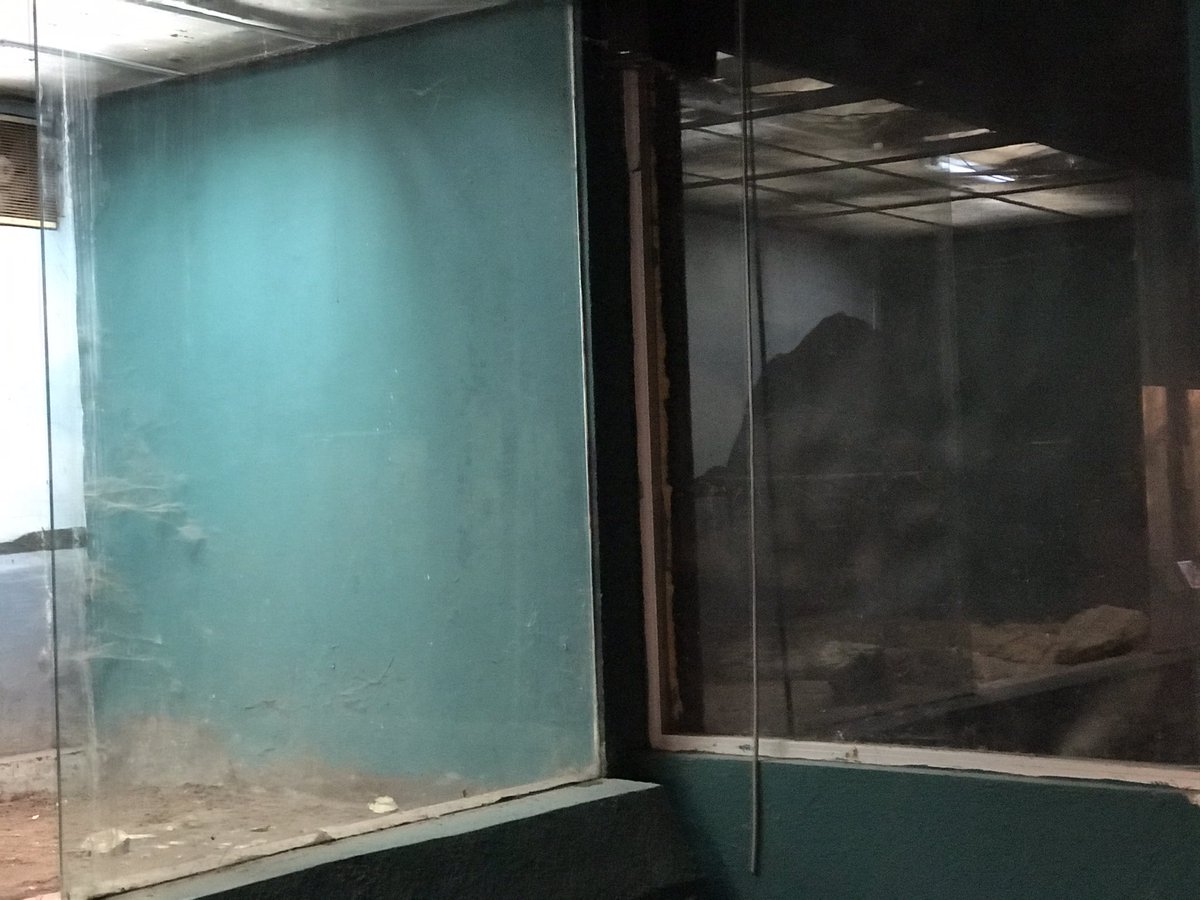Aquiestuvocln's tweet photo. Aquí no hay serpientes 🐍 #cln #olvido #parqueconstitucion #zoo 😧 https://t.co/JeyM0Mv0WY