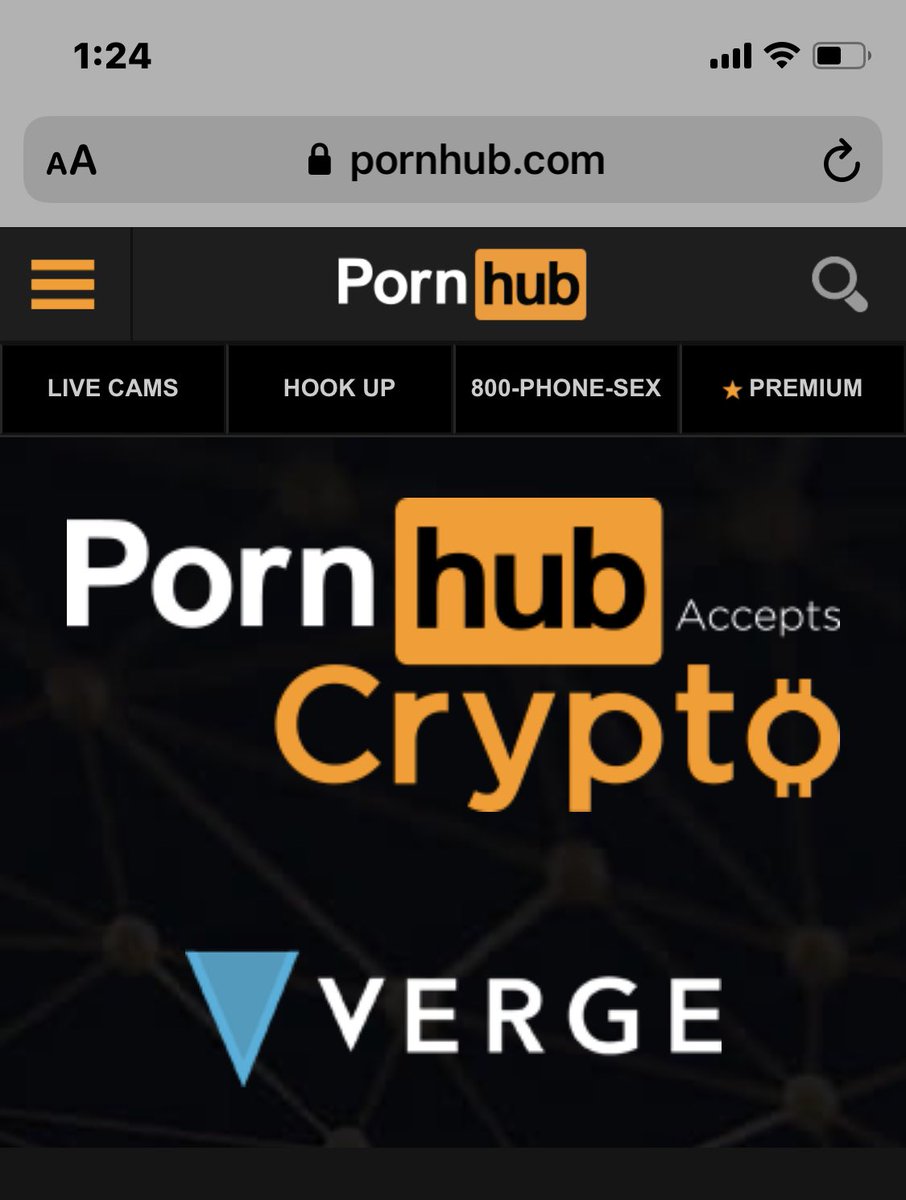 Someone tell the tiktok investors that $xvg is still really cheap and has a  partnership with pornhub.