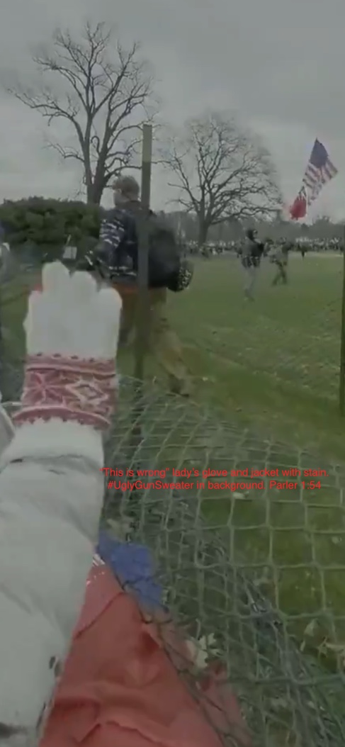 Buoyed up by the success of stepping over the fence at 1:40,  #UglyGunSweater 61-AFO MPDC134 goes over and takes down a little more fence, allowing several others to cross in the next few moments.