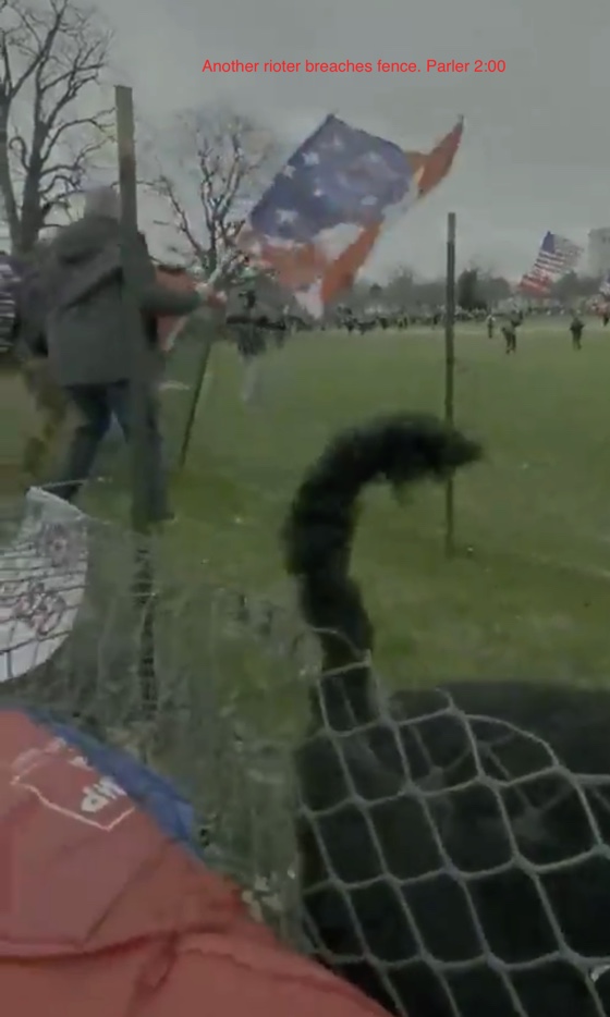 Person in red crosses, and another person in a heavy grey coat crosses, as  #UglyGunSweater 61-AFO deals with the fence. The dog (which may be helpful in establishing the group) enters the frame.