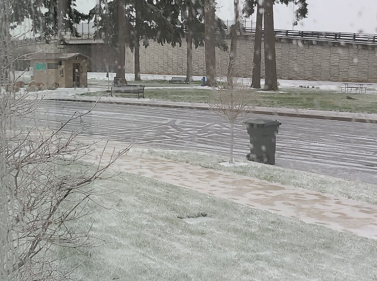 Airbld's tweet image. Iced. #Oregon #winterstorm2021 #justaday #PNW #stayhomechallenge #valentinesday2021