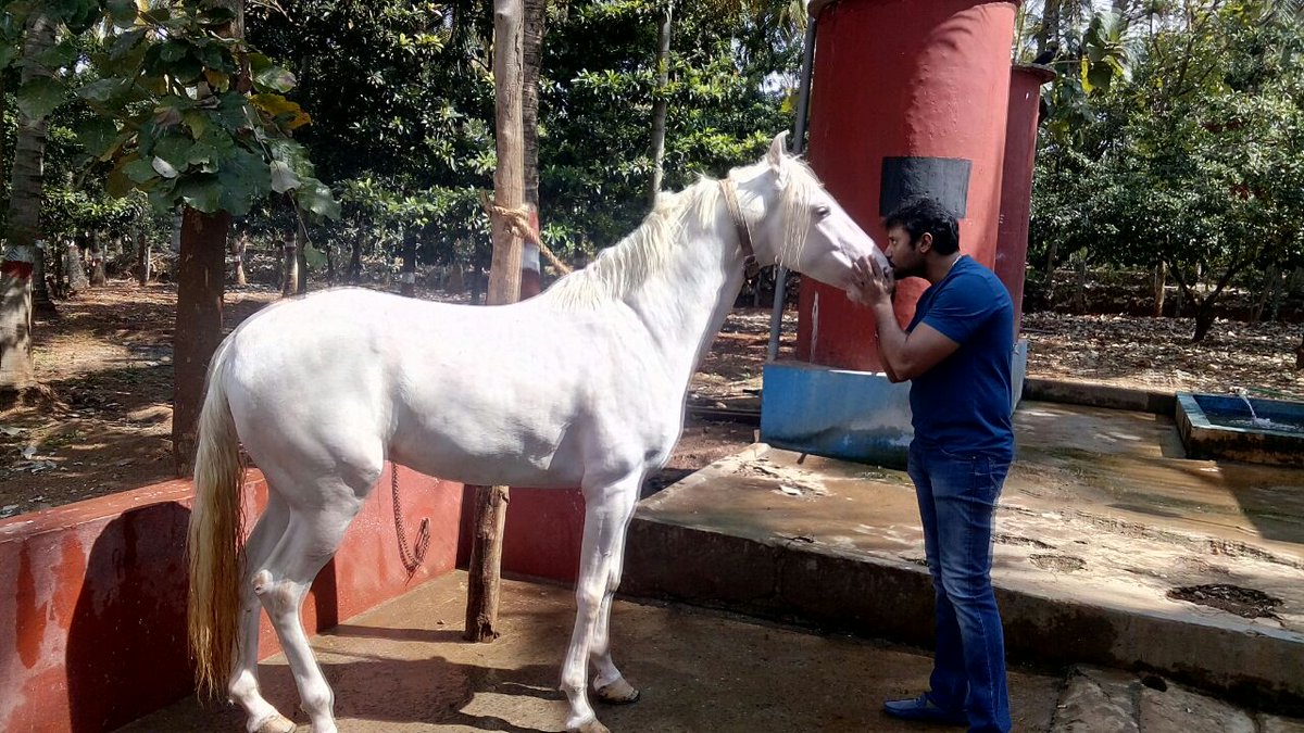 Darshan Trends™ tweet media