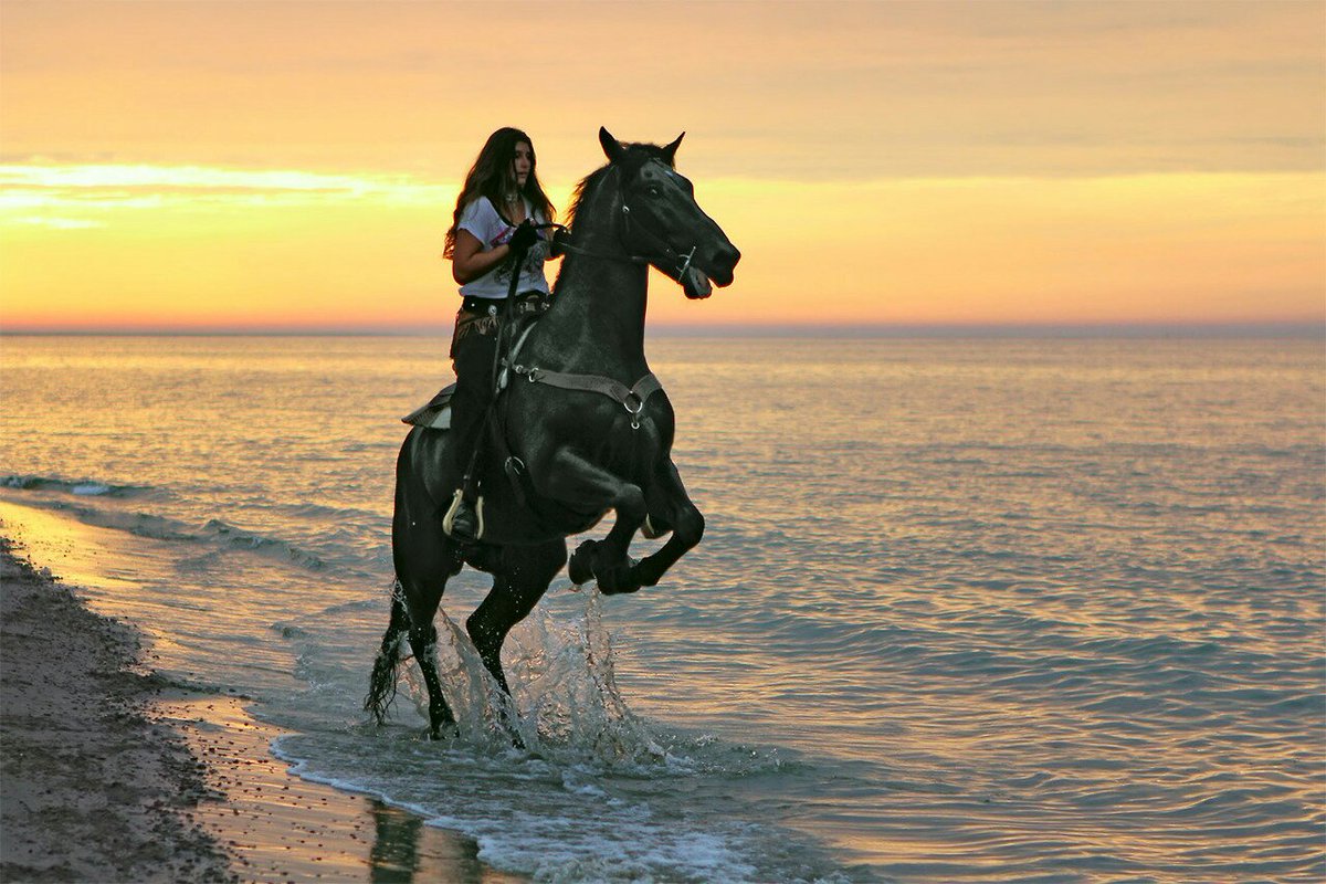 Проскачу на коне. Всадник на коне. Девушка на коне. Фотосессия с лошадью на море. Девушка мчится на лошади.